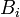 ~B_{i}