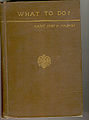 WhatToDo-CountLyofNTolstoi.jpg
