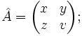 \hat{A} = \begin{pmatrix} x & y \\ z & v \end{pmatrix};