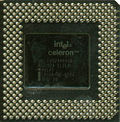 Celeron