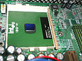 Celeron