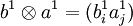b^1 \otimes a^1 =