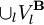 \cup_l V_l^{\bold B}