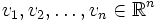 v_1, v_2, \dots, v_n \in \mathbb{R}^n