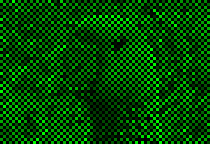 Bayer filter green.png