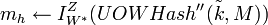 m_h \leftarrow I_{W^{\ast}}^{Z})